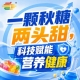 金秋南京,第115届秋季糖酒会,食饮新机遇,千载难逢